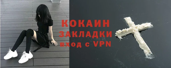винт Абаза