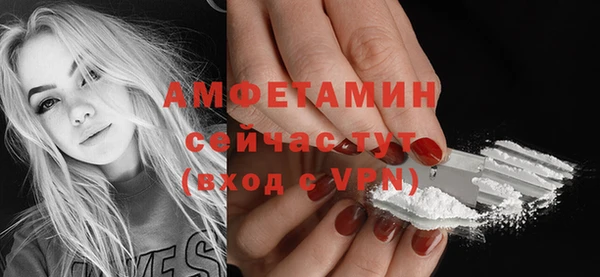 винт Абаза