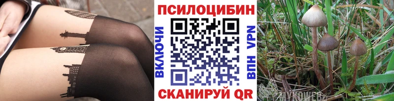 Псилоцибиновые грибы Psilocybe  Кимовск 